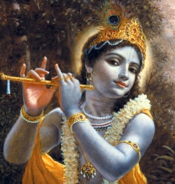 Krishna: quem é e significado da deusa do hinduísmo - Significados